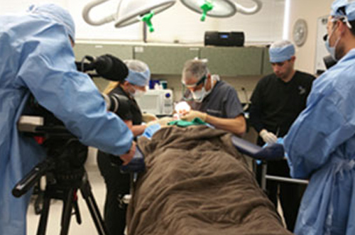 Dr. Jeffrey Epstein, Miami board-certified facial plastic surgeon, performing a hair restoration procedure